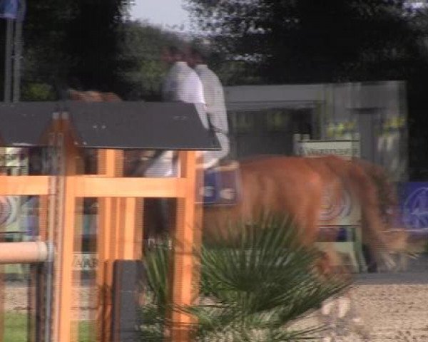 Datteln 2012