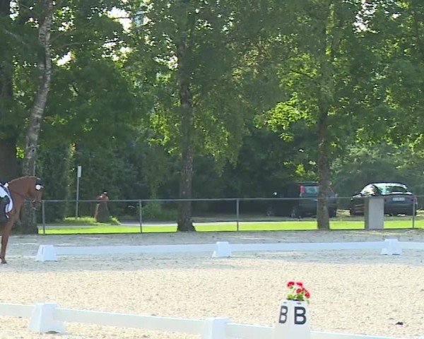 Reitturnier Rot am See- Musdorf 2024