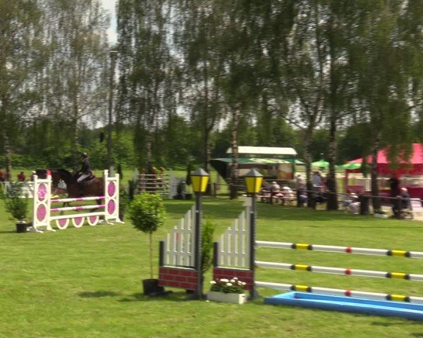 Reitturnier Hille 2024