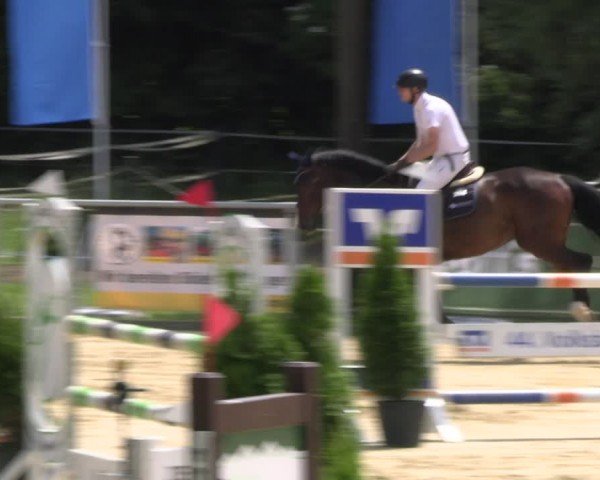 Reitturnier Oelde 2024