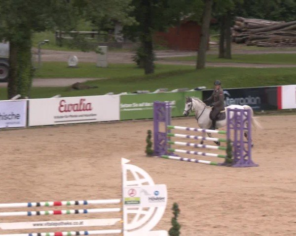 Reitturnier Stadl-Paura 2024