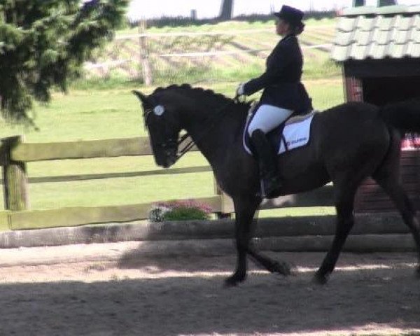 Datteln 2012