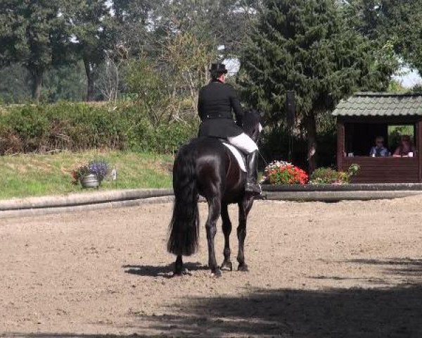 Datteln 2012