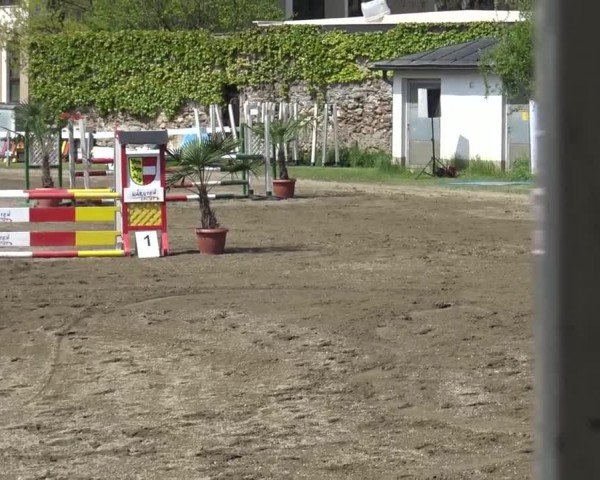 Reitturnier Ranftlhof 2024