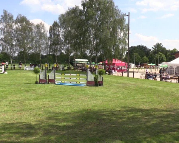 Reitturnier Hille 2024