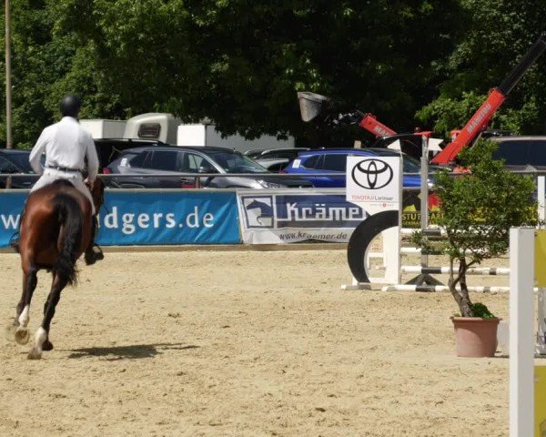 Reitturnier Winnenden 2024