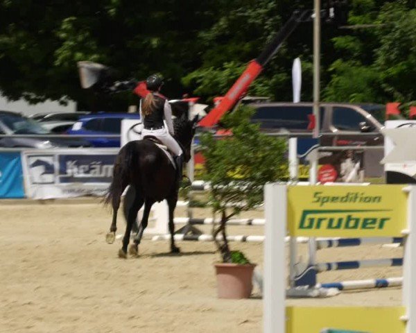 Reitturnier Winnenden 2024