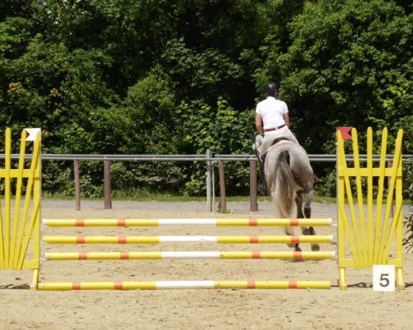 Reitturnier Winnenden 2024