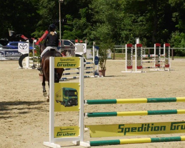 Reitturnier Winnenden 2024