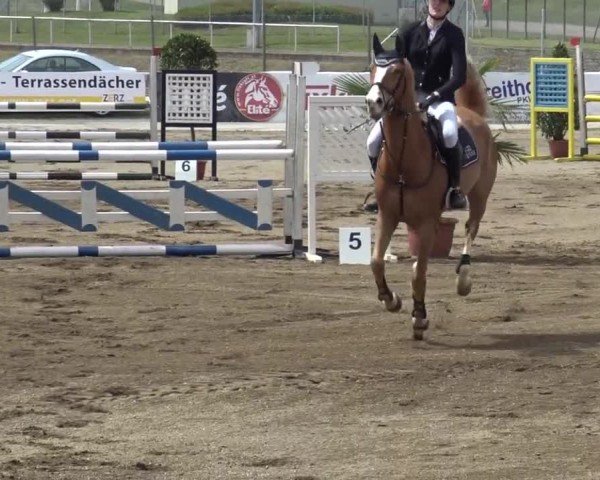 Reitturnier Ranftlhof 2024