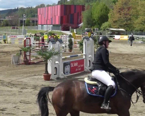 Reitturnier Ranftlhof 2024