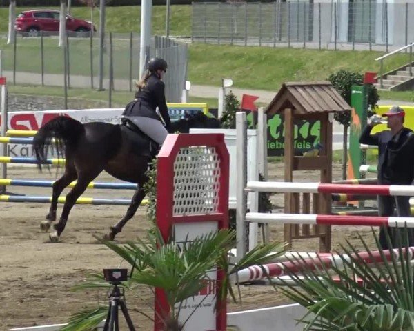 Reitturnier Ranftlhof 2024