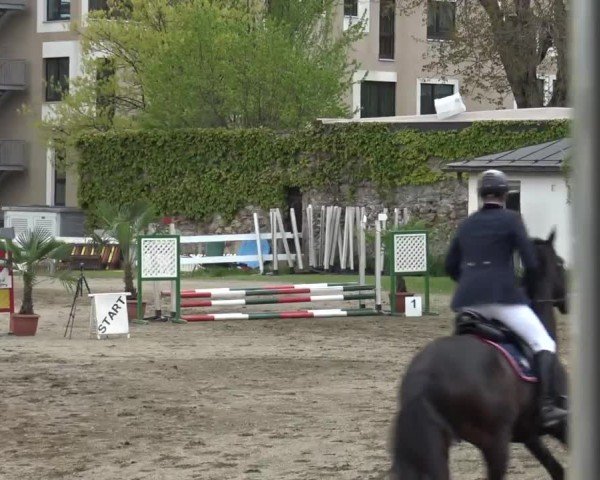 Reitturnier Ranftlhof 2024