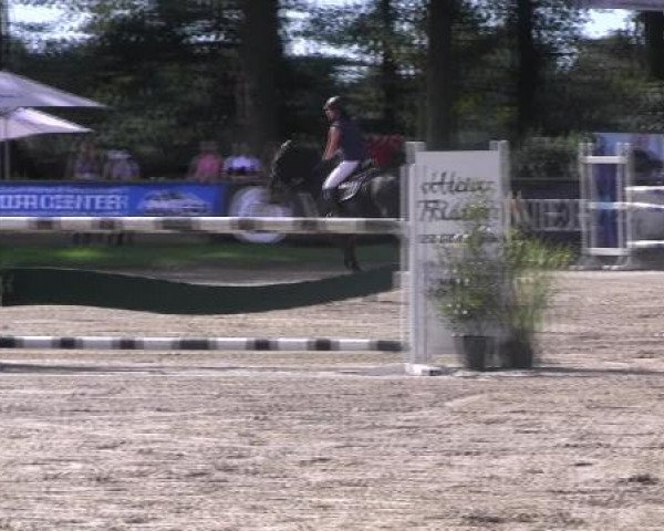 Datteln 2012