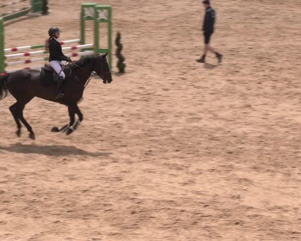 Reitturnier Stadl-Paura 2024