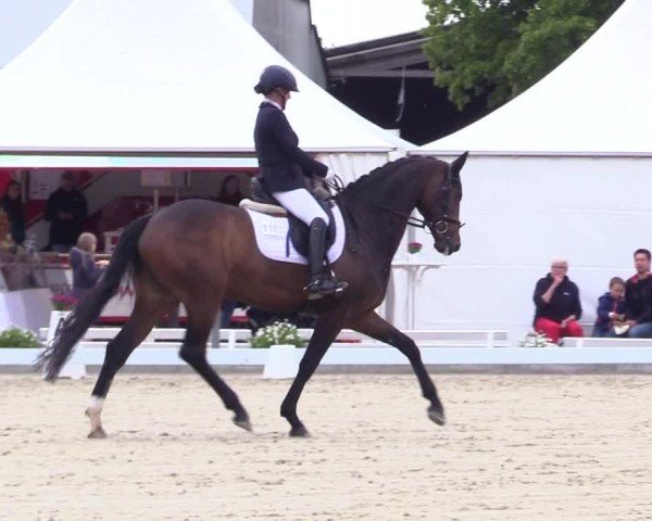 Reitturnier Sörup 2024