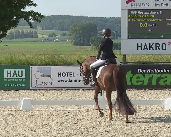 Reitturnier Rot am See- Musdorf 2024