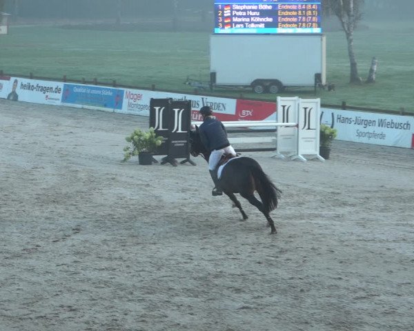 Reitturnier Westergellersen 2021