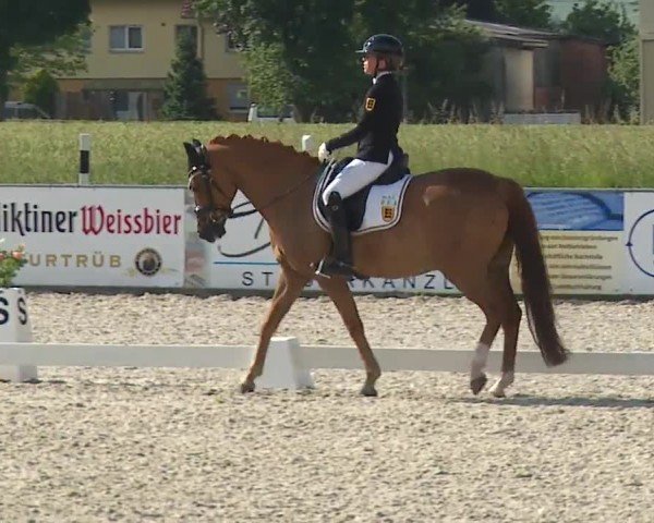 Reitturnier Rot am See- Musdorf 2024