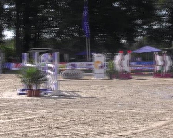 Datteln 2012
