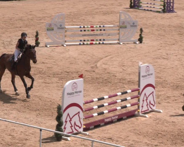 Reitturnier Stadl-Paura 2024