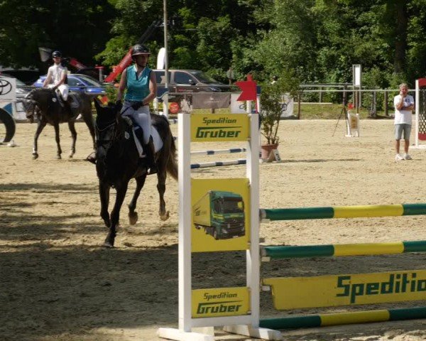 Reitturnier Winnenden 2024