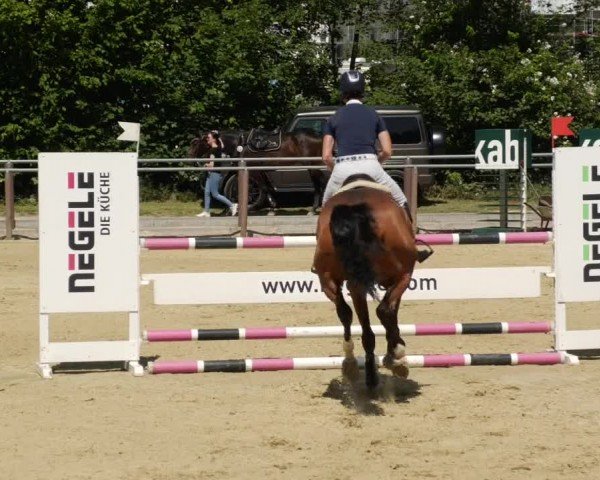 Reitturnier Winnenden 2024