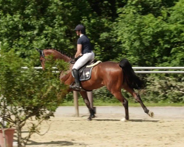 Reitturnier Winnenden 2024