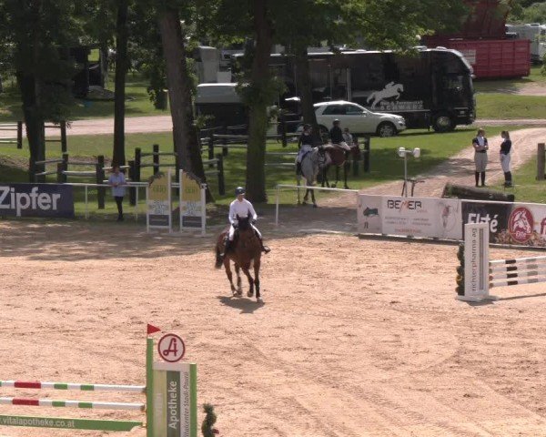 Reitturnier Stadl-Paura 2024