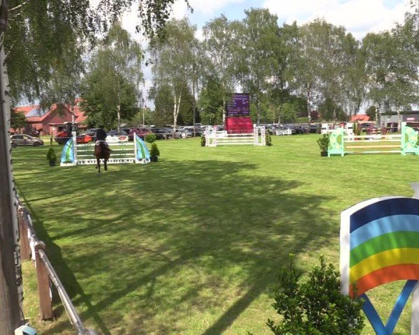 Reitturnier Hille 2024