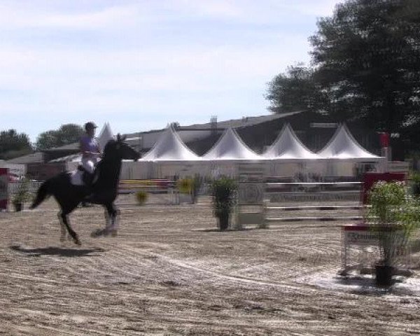 Datteln 2012