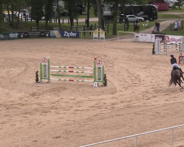 Reitturnier Stadl-Paura 2024