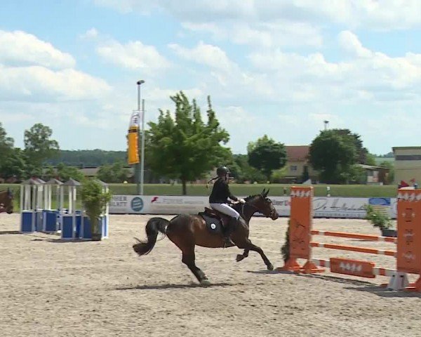 Reitturnier Rot am See- Musdorf 2024