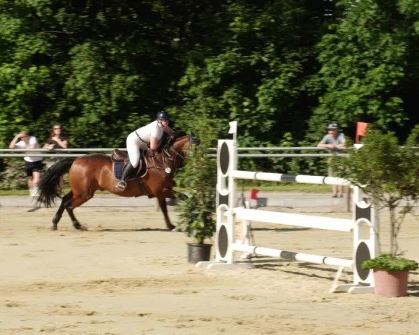 Reitturnier Winnenden 2024