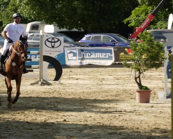 Reitturnier Winnenden 2024
