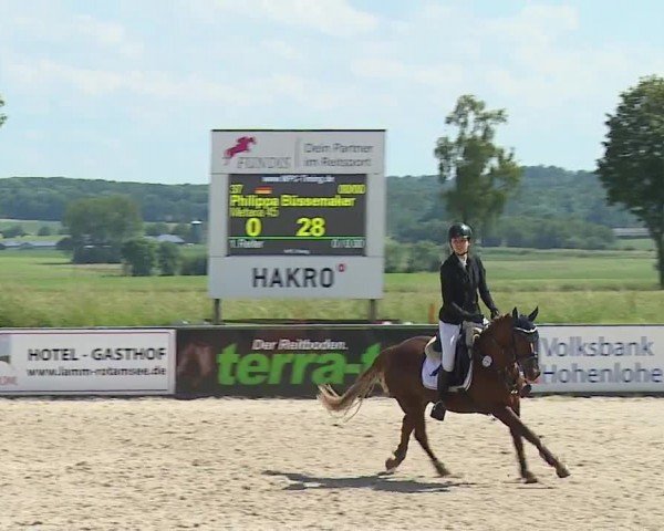 Reitturnier Rot am See- Musdorf 2024