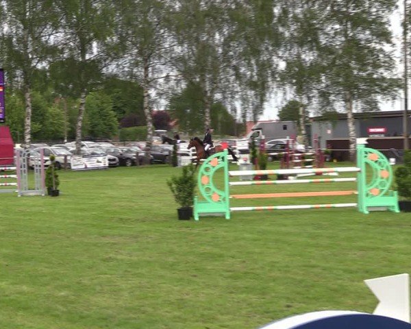 Reitturnier Hille 2024