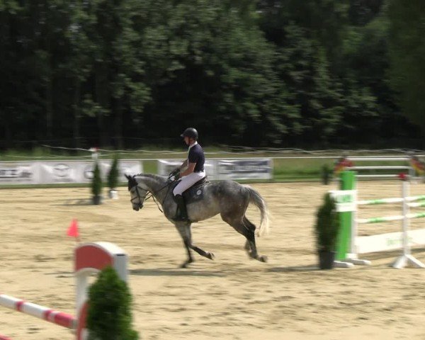 Reitturnier Oelde 2024
