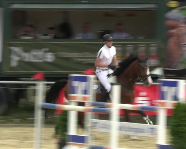 Reitturnier Oelde 2024