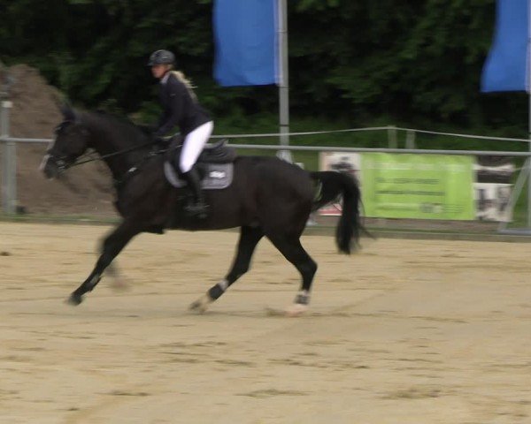 Reitturnier Oelde 2024