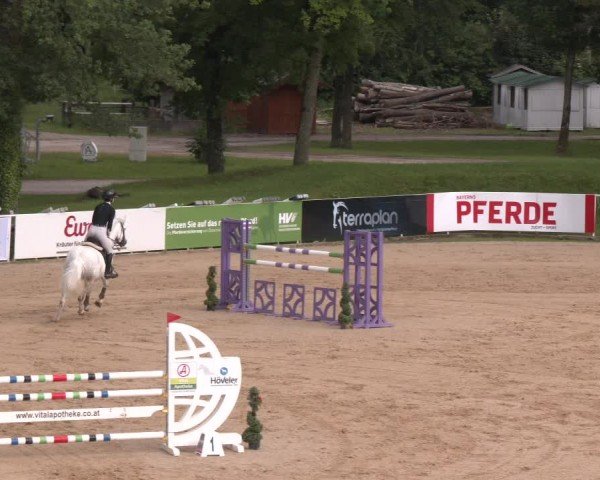 Reitturnier Stadl-Paura 2024