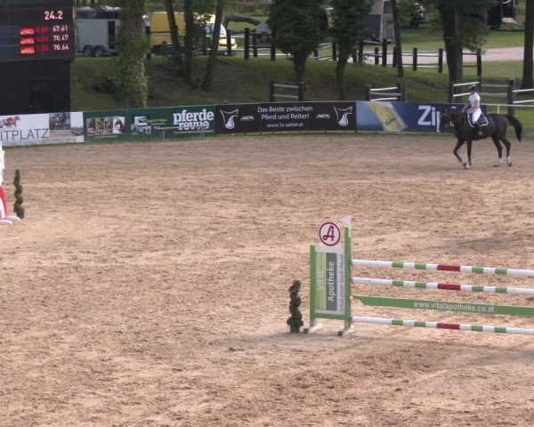 Reitturnier Stadl-Paura 2024