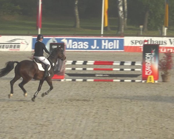 Reitturnier Westergellersen 2021