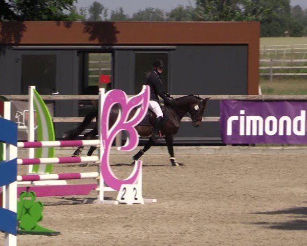 Reitturnier Ruhlsdorf 2024