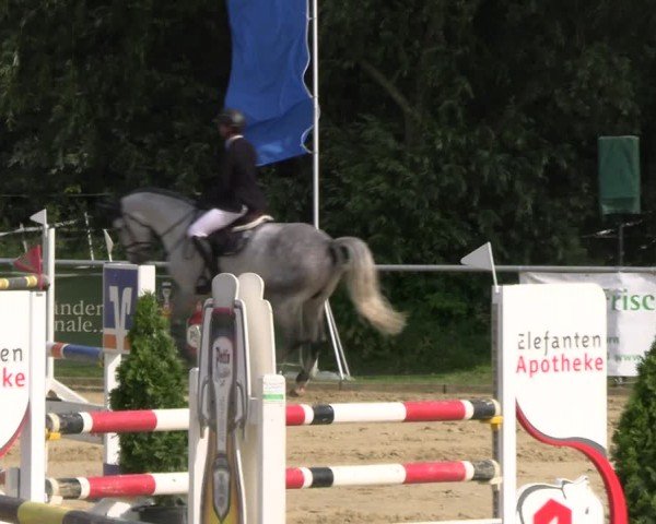Reitturnier Oelde 2024