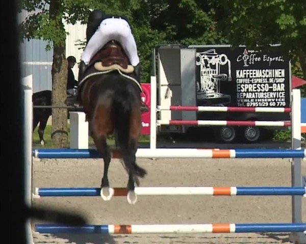 Reitturnier Rot am See- Musdorf 2024