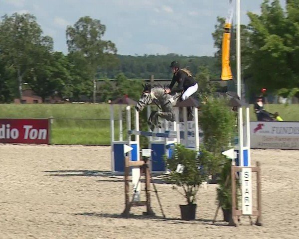 Reitturnier Rot am See- Musdorf 2024