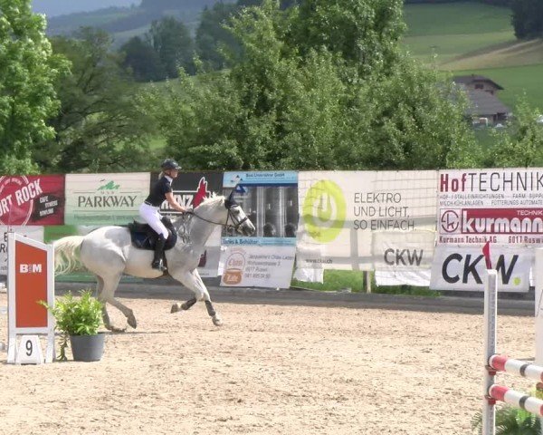 Reitturnier Ruswil 2024