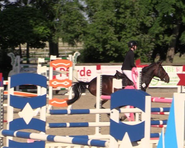 Reitturnier Ruhlsdorf 2024