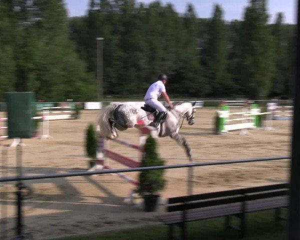 Reitturnier Oelde 2024